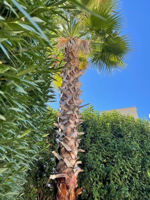 Excellent 3 Storey Villa With A Swimming Pool Belek Buitenkant foto